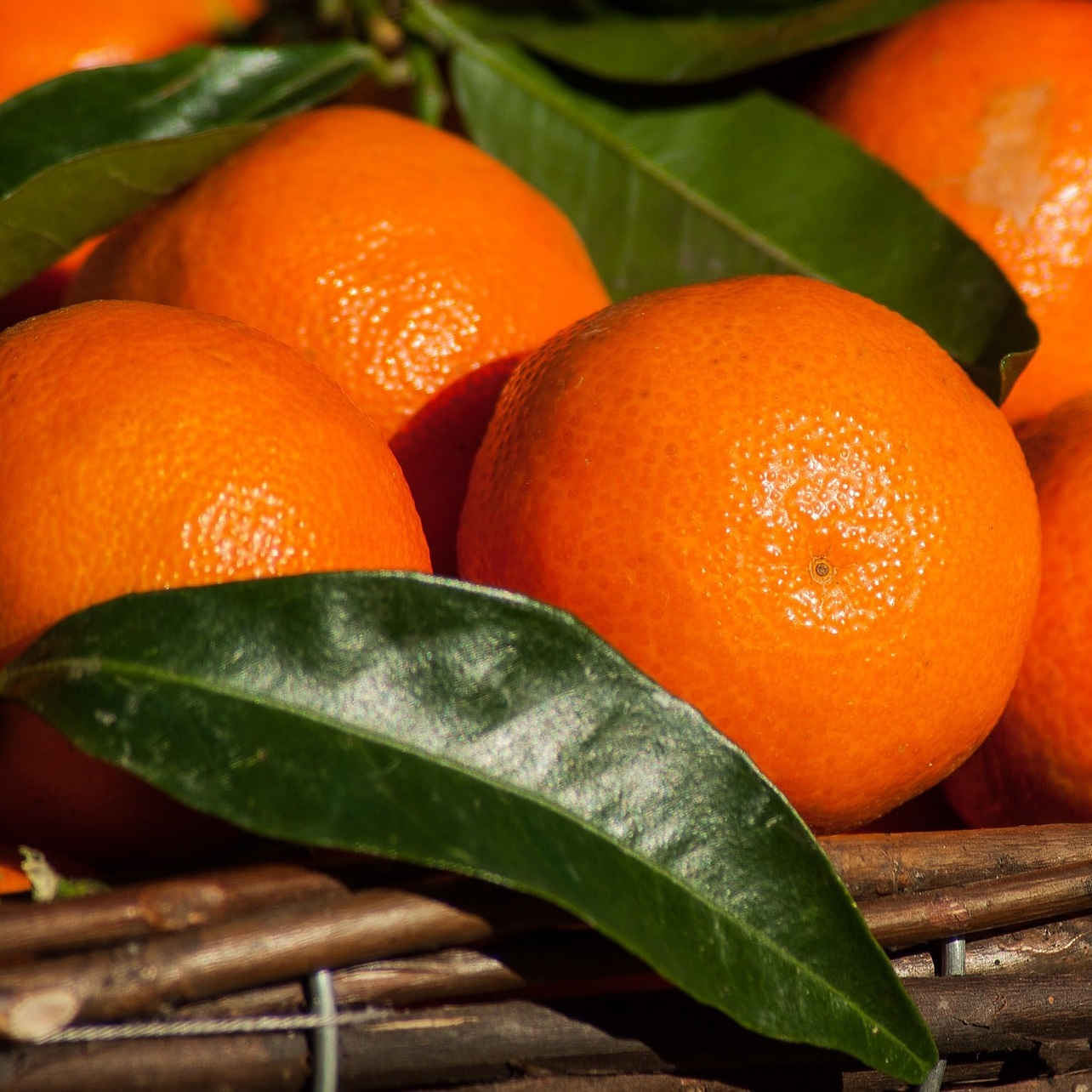 Mandarin